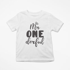 Mr Onederful Kids Tshirt
